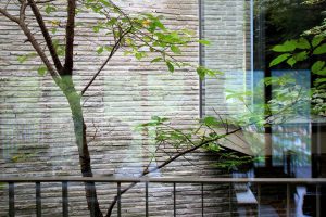 雷山の別荘　中庭